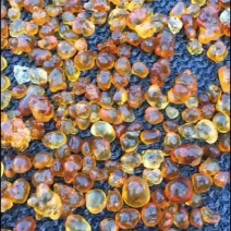 桃胶源头基地工厂机磨水洗纯黄颗粒0.8-1.5，大量现货