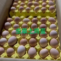 虫草土鸡蛋