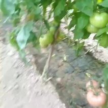 质优价廉