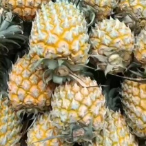 香水菠萝