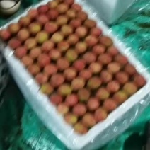 颗粒饱满，肉多，籽小，甜度高