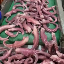 脆口须，鱿鱼，鱿鱼须，大小都有，