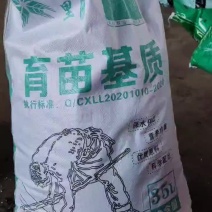 进口泥炭配方基质生产厂家漂盘穴盘播种苗床扦插基质#鑫立里