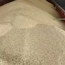 小麦玉米