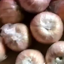 一手货源