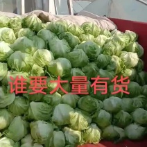 球生菜