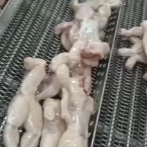 牛蛙肉活杀整只牛蛙，单冻美蛙整只，大中小规格都有