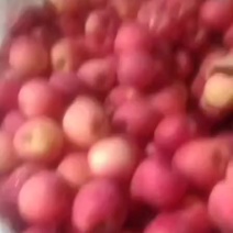 高次，次果