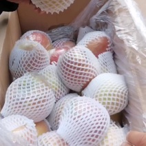红富士苹果