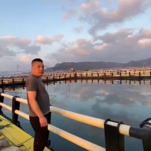 霞浦三去大黄鱼，适合快餐店，自助餐店小炒店，大排档专用
