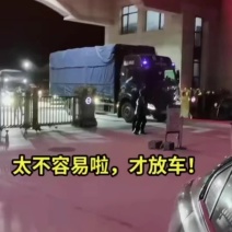 绥中旱黄瓜便宜了