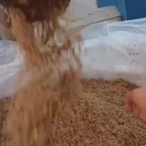 啤酒糟