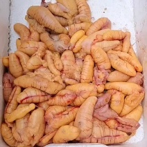 鲈鱼籽