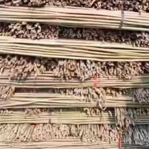 金竹，菜价竹产地一手货源，价格优惠，诚信经营