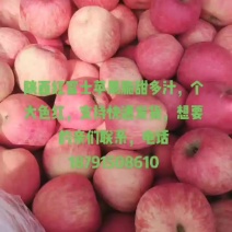 红富士苹果