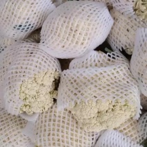 松花