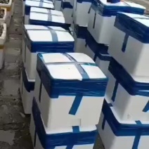 福建生蚝