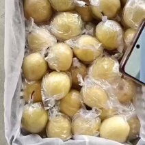蜜梨