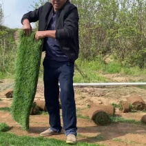 质量决定一切