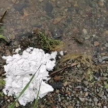 有效氧化钙百分之80