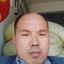 桔梗种子