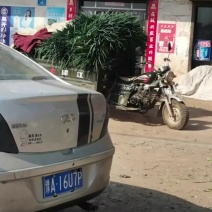 脱水葱