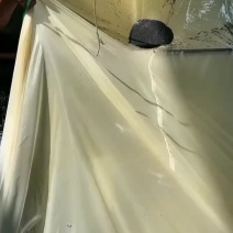 黄骨鱼水花，支持全国各地发货，运输包成活