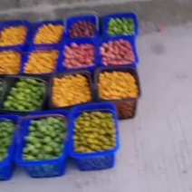五彩樱桃番茄