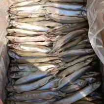 工厂直销一手货源多，各种规格的多春鱼粒粒饱满，