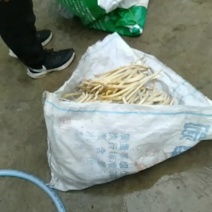 藕带