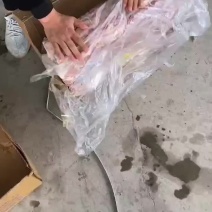 肥猪带皮大五花