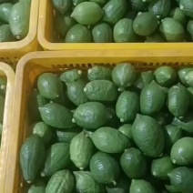 一级果果园现摘发货广东香水柠檬大量现货