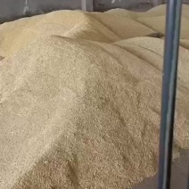 大麦，小麦，出售