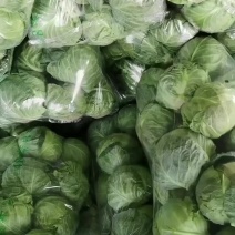精品甘蓝，一手货源，代收，代发