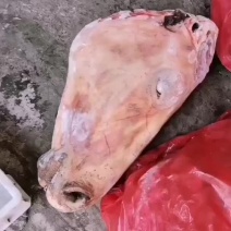 驴肉每天现宰的。板肠。蝎子骨。心。肝。烫皮的。剥皮的。头