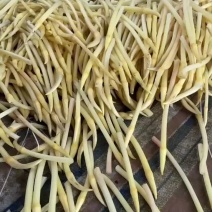 仙桃藕带