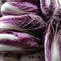 紫白菜
