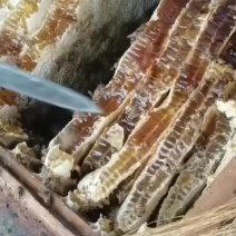 1斤包野生百花蜜，来自大山深处的野峰蜜，0添加，0喂养。