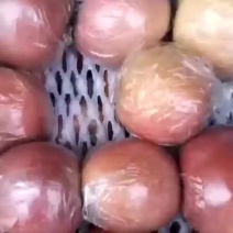 冰糖心红富士苹果，精品红富士苹果，电商，网店货量大从优