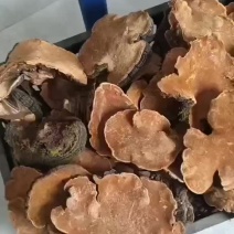 健康身体的加油站
