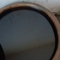 正中野油茶