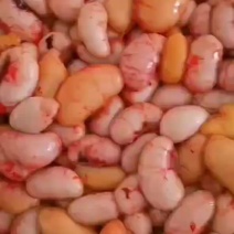鸡腰子