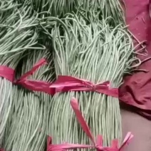 精品长豆角，现大量上市。货源充足。欢迎各位老板前来选购