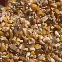 【热销】烘干碎玉米保证质量适用于养殖厂饲料添加降低成本