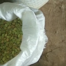 我想卖干蚕豆，有4万多市斤左右