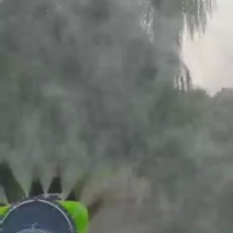 履带座驾打药机果园喷药车