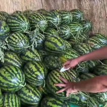 精品甜王