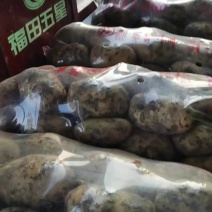 土豆