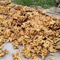 干姜黄姜