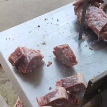 糕羊加肉羊蝎子大量供应厂家直供质量保证量大优惠